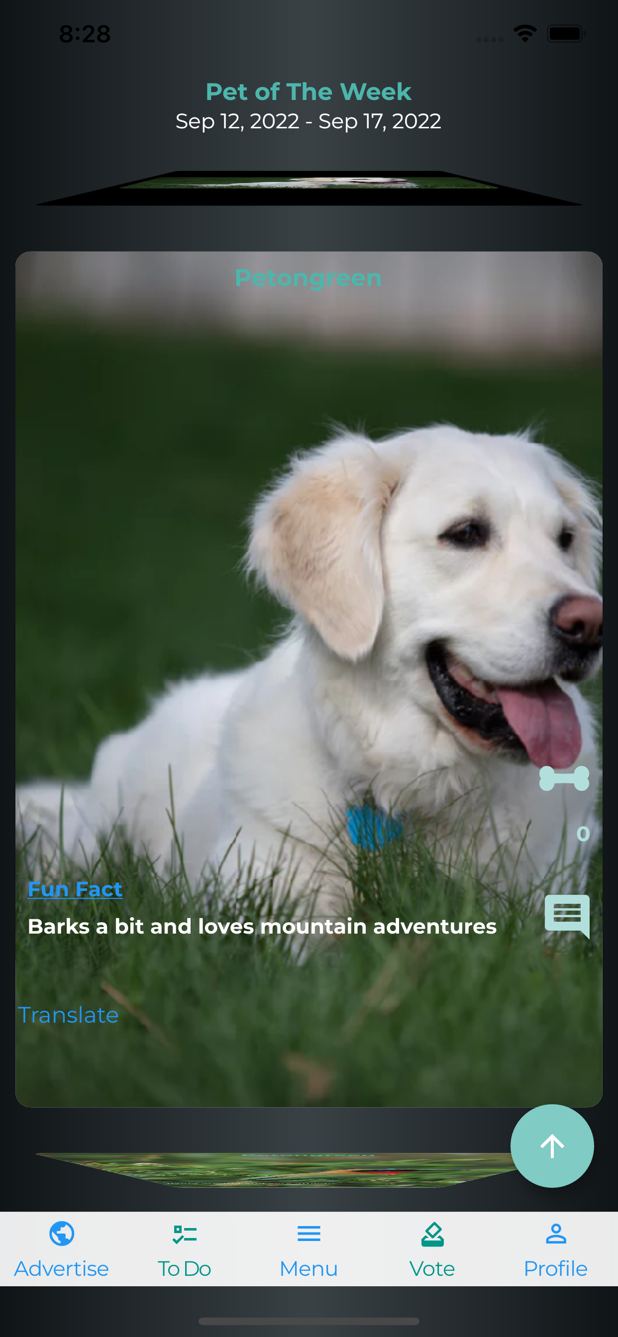 Sharepetstory