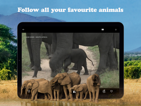 WildEarth TV - Nature Safari iPad screenshot 4 - Entertainment app