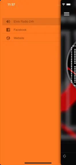 Game screenshot Elvis Radio 24h apk