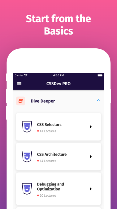 Screenshot #3 pour Learn CSS 3 Offline Now [PRO]