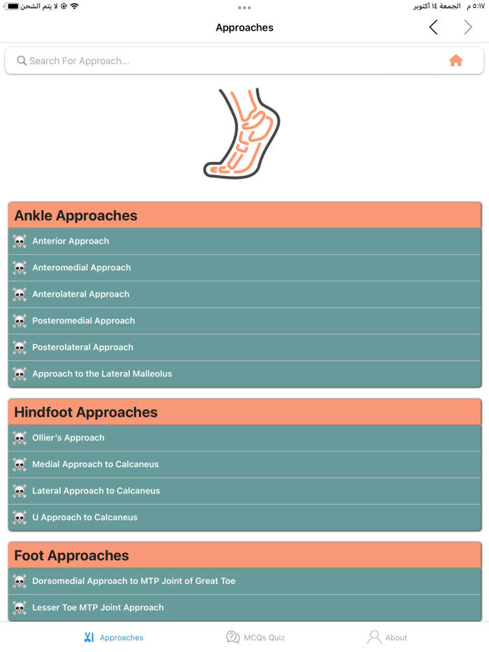 Orthopedic Approaches Pro