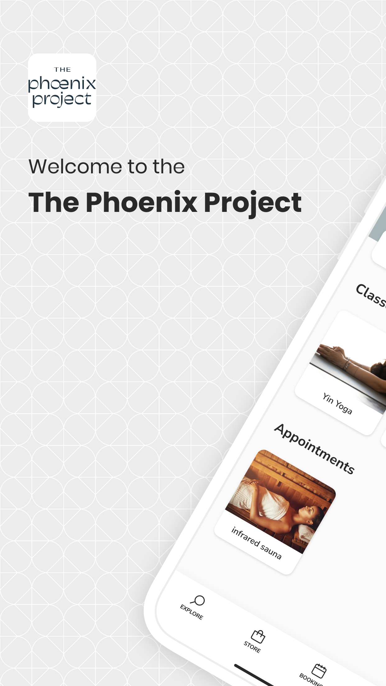 The Phoenix Project (New)