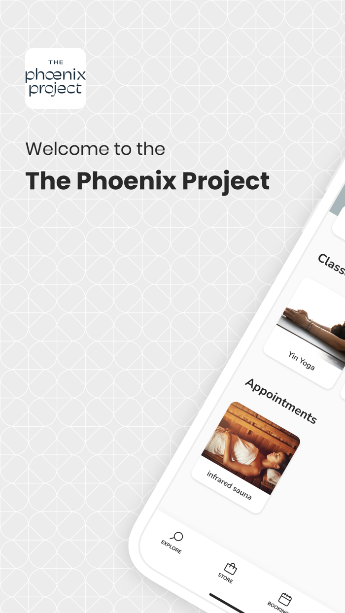 The Phoenix Project New