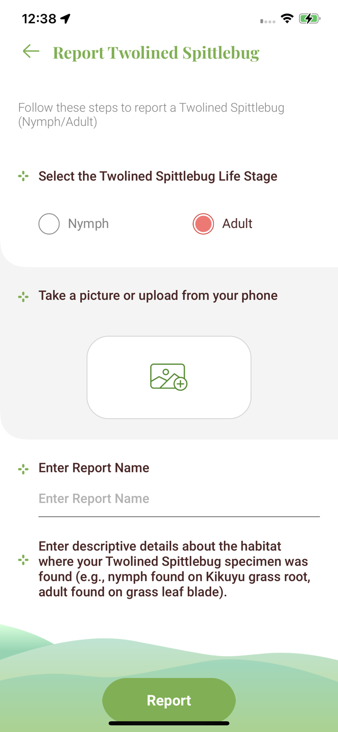 Twolined Spittlebug Tool