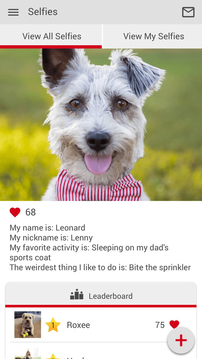 Washington Vet Hospital