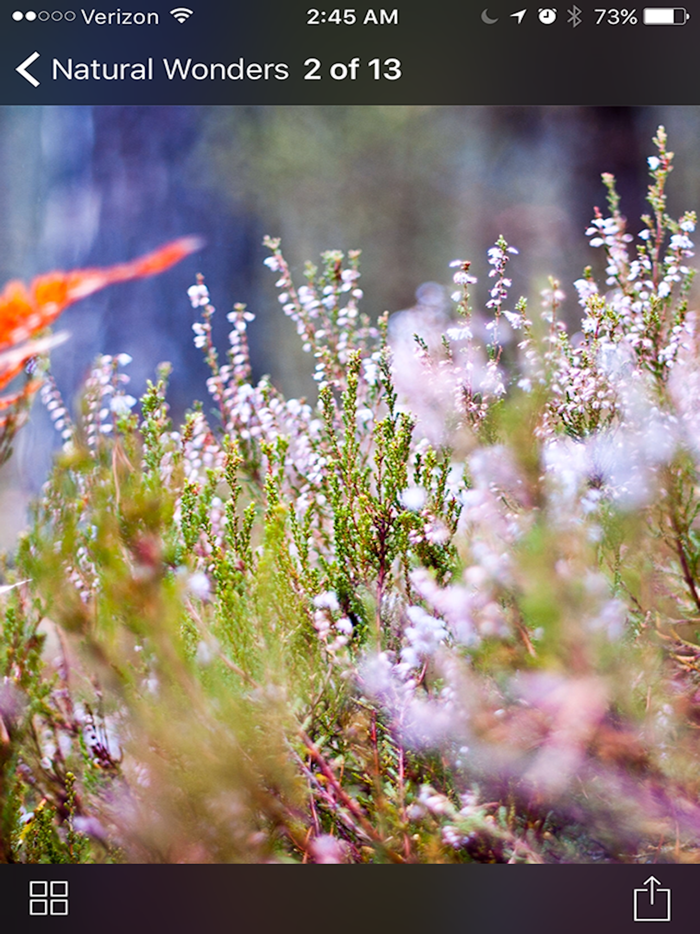 Ai Natural Wonders Wallpaper