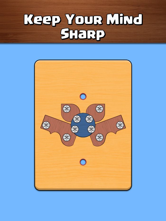 Nuts and Bolts Puzzle Screw