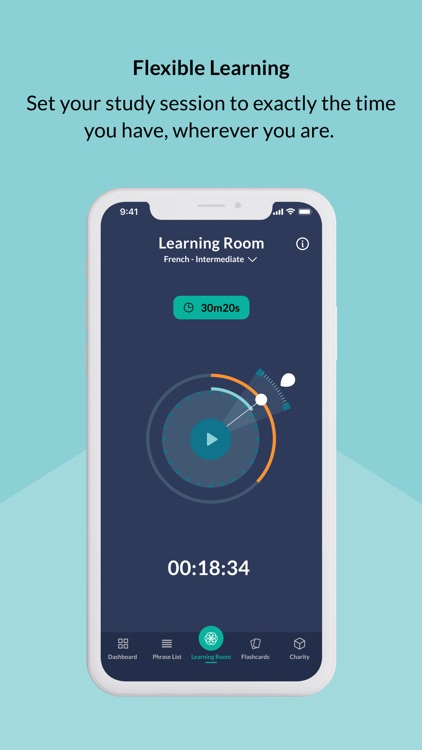 Languages with Michel Thomas