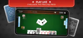 Game screenshot Pinochle Palace mod apk