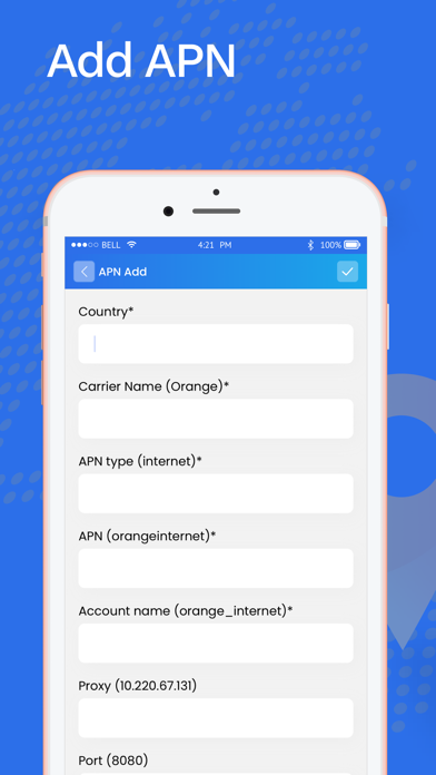 APN Settings - Global Screenshot