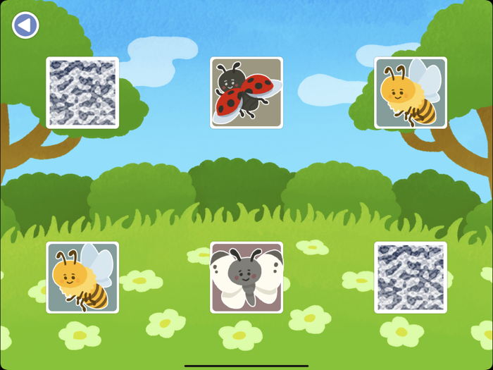 Memory Game - Insects -