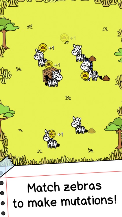 Zebra Evolution Animal envolve