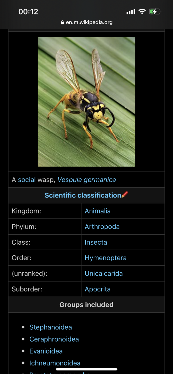 Insect Identifier Bug ID