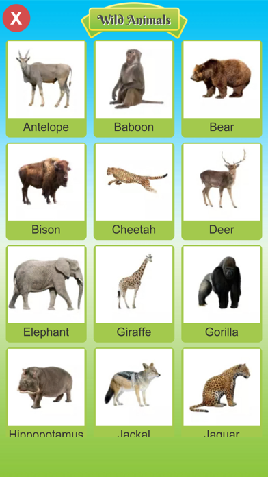Picture Book Baby Word Books Screenshot