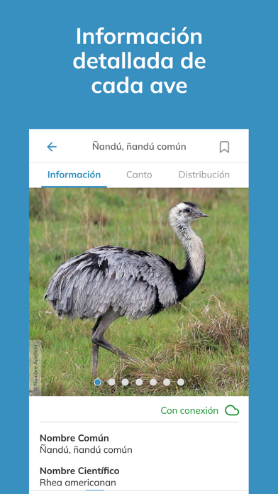 Aves argentinas Screenshot