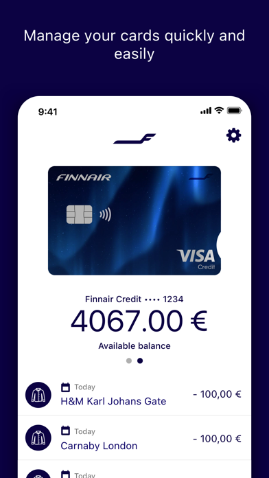 Finnair Visa Screenshot