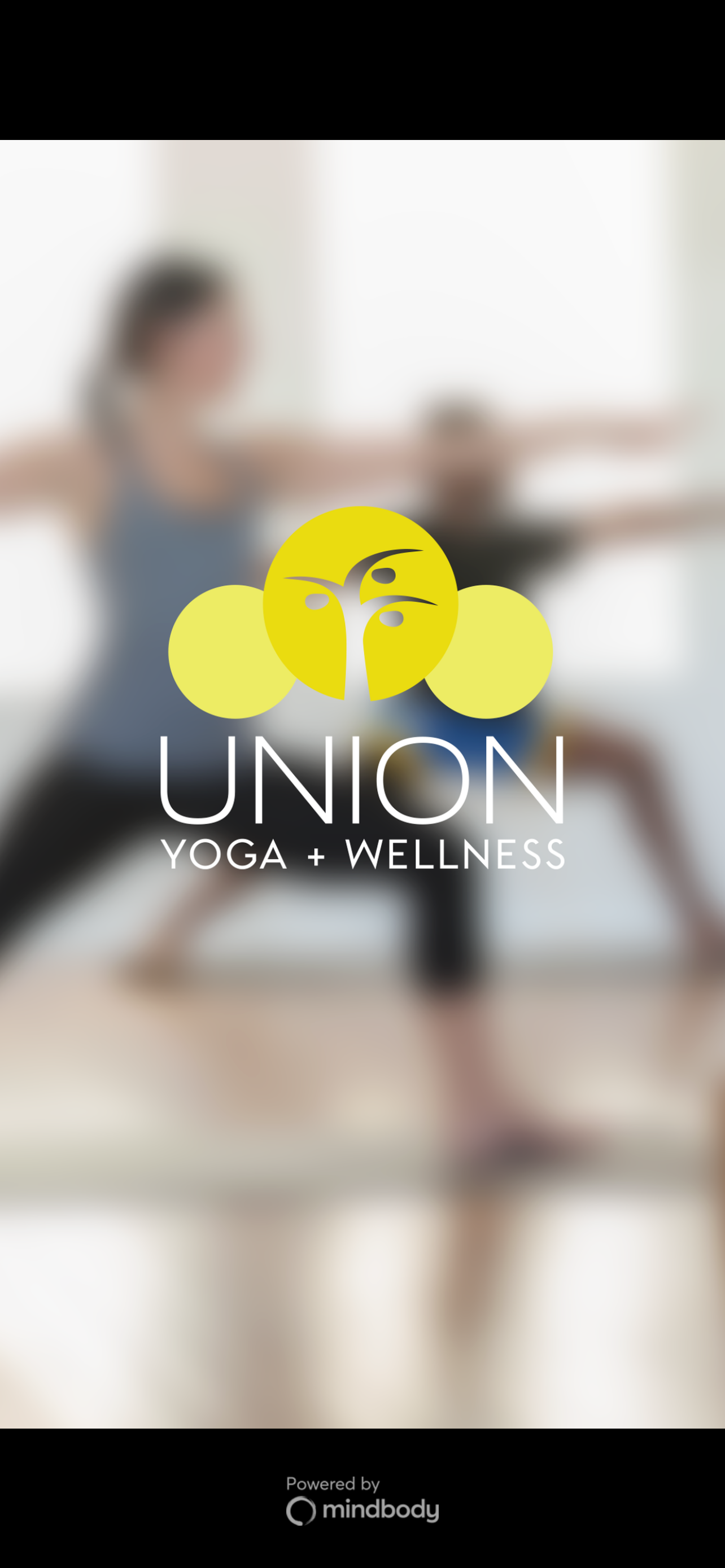 Union Yoga + Wellness Toronto