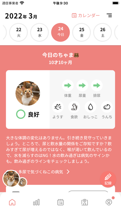 Tolettaのおすすめ画像1