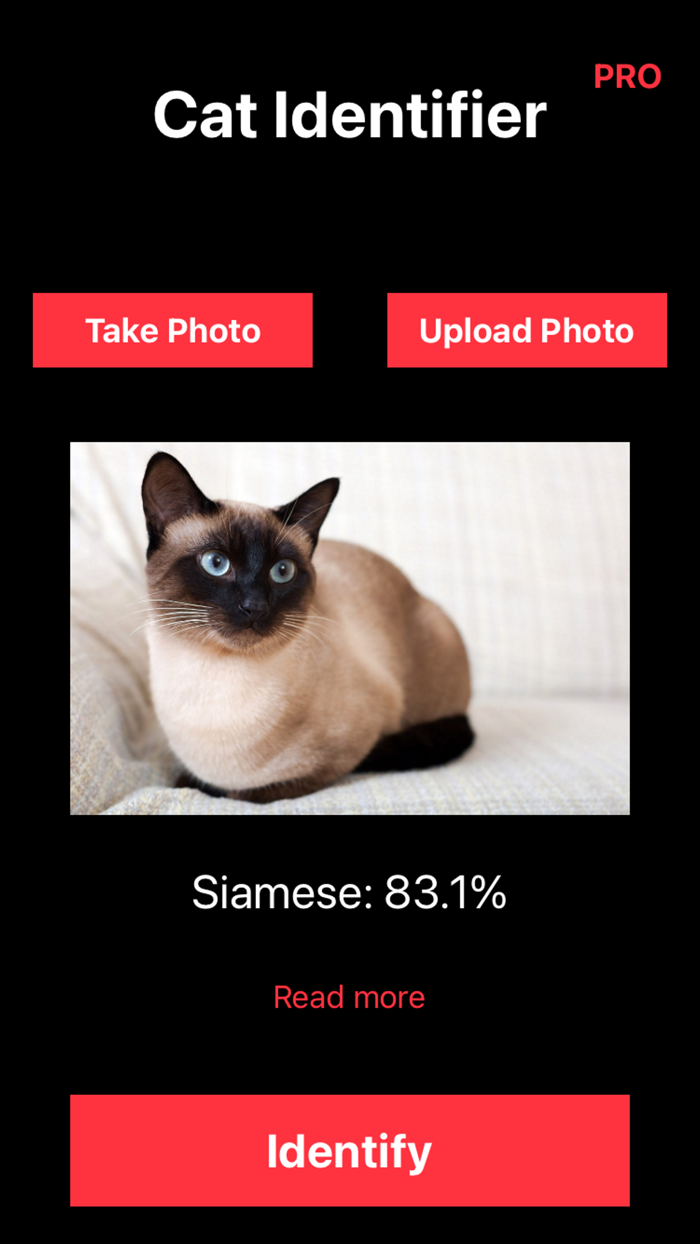 Cat Identifier Kitty Breed ID