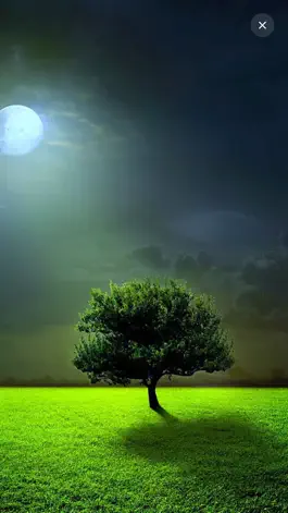 Game screenshot Wallpapers Premium apk