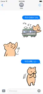 Everyday Kuma Sticker screenshot #3 for iPhone