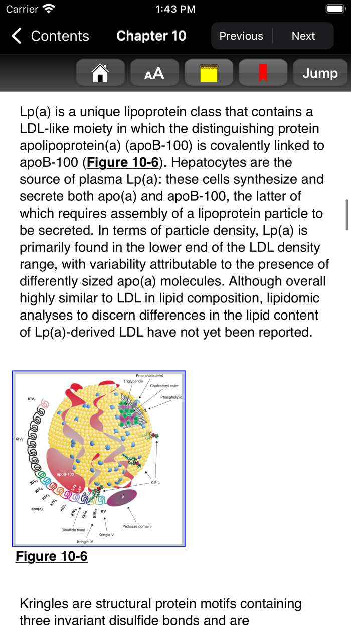 Fuster  Hursts The Heart 15E