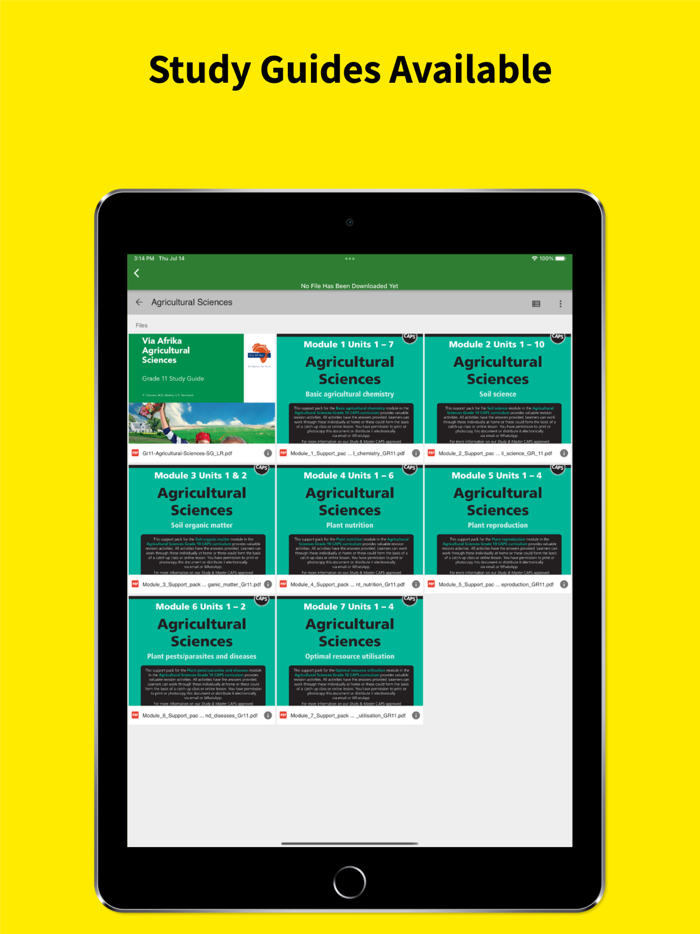 Grade 10 Exam Papers