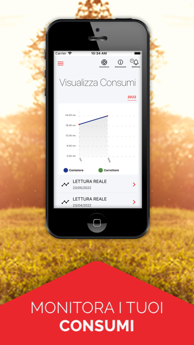 Gestione Italia Spa Screenshot