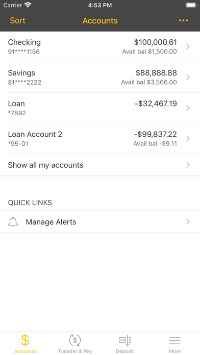 City Co FCU Screenshot