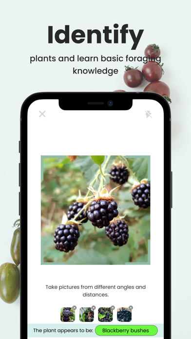 Uforage Screenshot