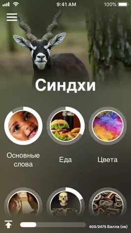 Game screenshot Учи синдхи - EuroTalk mod apk