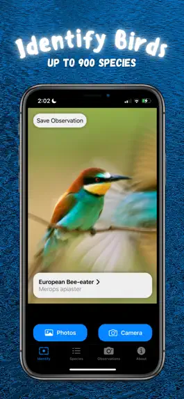 Game screenshot North American Bird Identifier mod apk