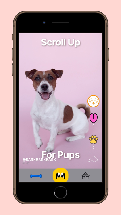 BarkBarkBark Screenshot