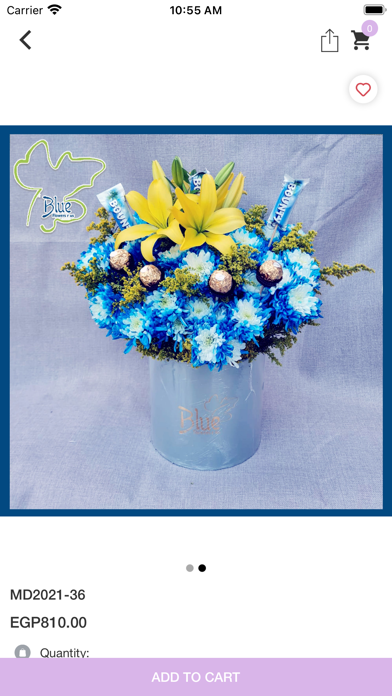 Blue Flowers Shop Screenshot