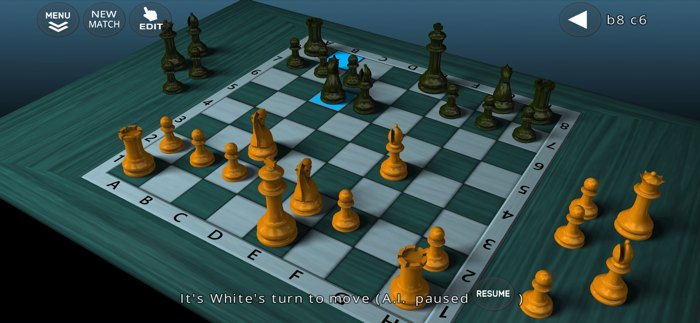 3D Chess Game