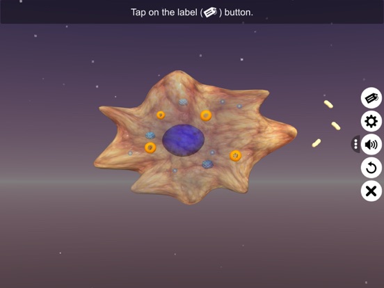 Screenshot #4 pour Nutrition in Amoeba