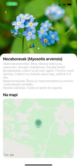 Game screenshot BioVal - Urbana Priroda mod apk