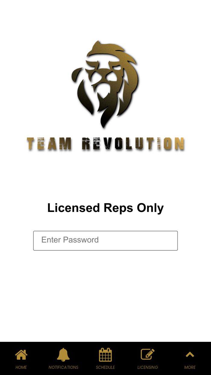 Team Revolution