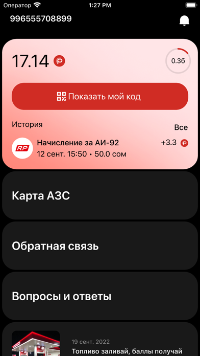 RedPay KG screenshot 2