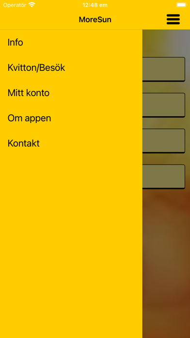 MoreSun Screenshot