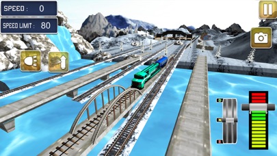 Euro Train Driver Game Screenshot