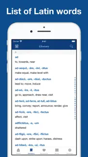 latin for beginners iphone screenshot 4