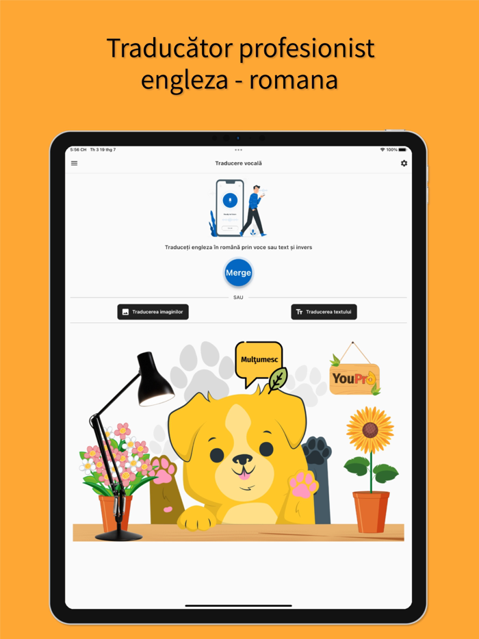 English to Romanian Traducerea