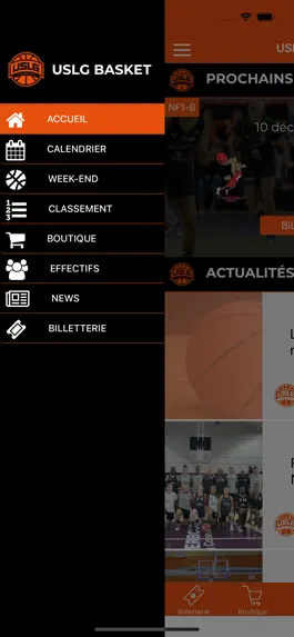 Game screenshot USLG Basket hack