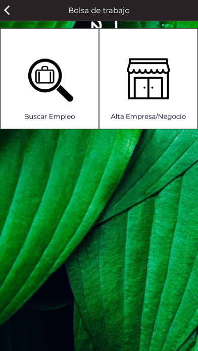 RN MEXICO Screenshot
