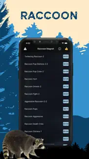 raccoon magnet–raccoon sounds iphone screenshot 1