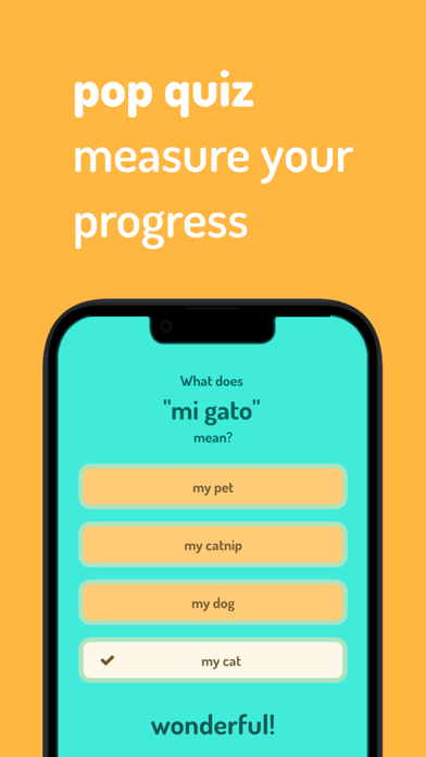 momolingo Screenshot