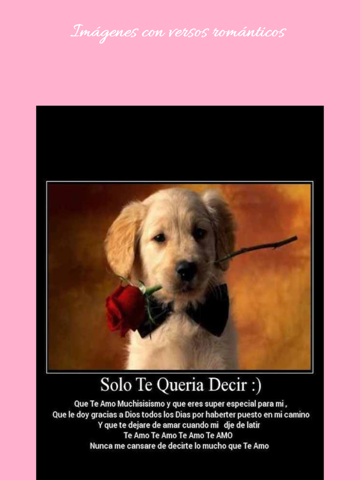 Imágenes con Frases de Amor