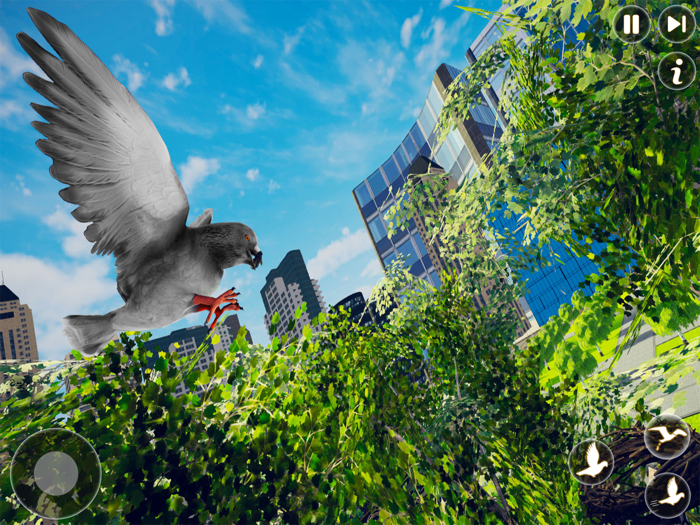 Pigeon Bird Flying Simulator