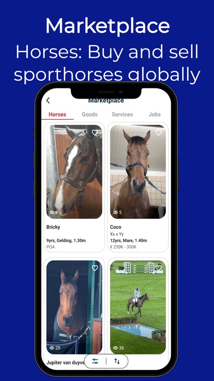 Horse-X, The Best Horse App